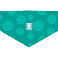 Load image into Gallery viewer, CANADA POOCH CHILL SEEKER BANDANA SMILE LARGE