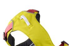 Load image into Gallery viewer, RUFFWEAR FLAGLINE HARNESS MED