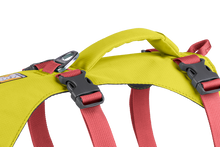 Load image into Gallery viewer, RUFFWEAR FLAGLINE HARNESS MED