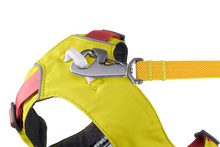 Load image into Gallery viewer, RUFFWEAR FLAGLINE HARNESS SM