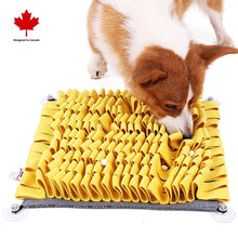 Load image into Gallery viewer, PAWZNDOGZ ANTI-BITE SNUFFLE MAT RED LARGE