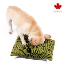 Load image into Gallery viewer, PAWZNDOGZ ANTI-BITE SNUFFLE MAT RED LARGE