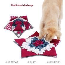 Load image into Gallery viewer, PAWZNDOGZ STAR SNUFFLE MAT