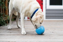 Load image into Gallery viewer, PLANET DOG ORBEE SNOOP ORANGE