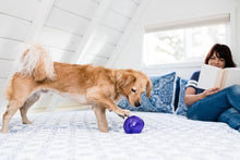 Load image into Gallery viewer, PLANET DOG ORBEE TUFF LIL SNOOP PURPLE