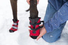 Load image into Gallery viewer, PAWSH PADS BOOTS DOUBLE EXTRA SMALL