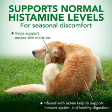 Load image into Gallery viewer, VET'S BEST SEASONAL ALLERGY RELIEF 60TAB