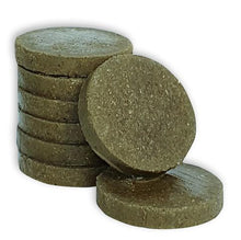 Load image into Gallery viewer, CARNIVORA TRIPE BEEF 4LB