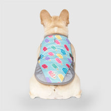 Load image into Gallery viewer, CANADA POOCH CHILL SEEKER VEST POPSICLE SIZE 16