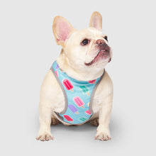 Load image into Gallery viewer, CANADA POOCH CHILL SEEKER VEST POPSICLE SIZE 16