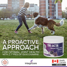 Load image into Gallery viewer, TRI-ACTA DOG/CAT JOINT FORMULA REGULAR STRENGTH 60G