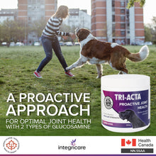 Load image into Gallery viewer, TRI-ACTA DOG/CAT JOINT FORMULA REGULAR STRENGTH 300G
