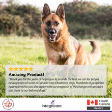 Load image into Gallery viewer, TRI-ACTA DOG/CAT JOINT FORMULA REGULAR STRENGTH 140G