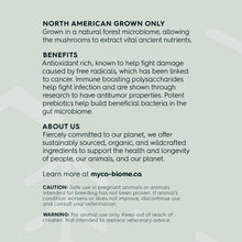 Load image into Gallery viewer, MYCO-BIOME TURKEY TAIL MUSHROOM 125ML