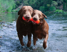 Load image into Gallery viewer, RUFF DAWG DAWG-BUSTER ASSORTED COLOURS 8.5"