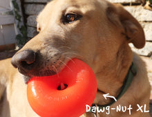 Load image into Gallery viewer, RUFF DAWG DAWG-NUT ASSORTED COLOURS 3.5"