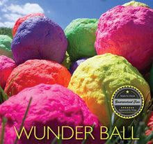 Load image into Gallery viewer, WUNDERBALL DOG BALL MEDIUM