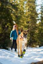 Load image into Gallery viewer, RUFFWEAR POLAR TREX PAIR 3.25"