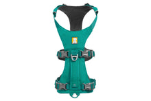 Load image into Gallery viewer, RUFFWEAR FLAGLINE HARNESS SM