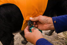 Load image into Gallery viewer, RUFFWEAR FLOAT COAT SM