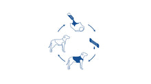 Load image into Gallery viewer, GF PET ELASTOFIT ICE VEST SM