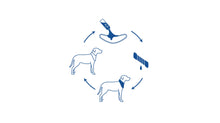 Load image into Gallery viewer, GF PET ICE BAND XSM