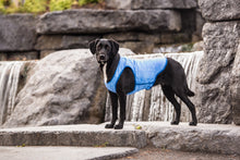 Load image into Gallery viewer, GF PET ELASTOFIT ICE VEST SM