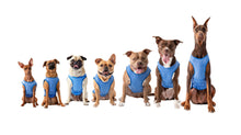 Load image into Gallery viewer, GF PET ELASTOFIT ICE VEST SM