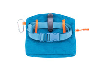 Load image into Gallery viewer, RC QUICK GRAB TREAT BAG