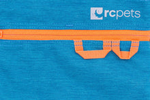 Load image into Gallery viewer, RC QUICK GRAB TREAT BAG