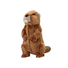 Load image into Gallery viewer, FLUFF &amp; TUFF TROY BEAVER 9&quot;

