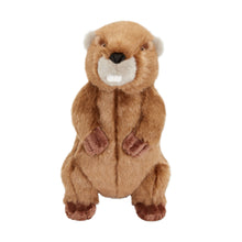 Load image into Gallery viewer, FLUFF &amp; TUFF TROY BEAVER 9&quot;
