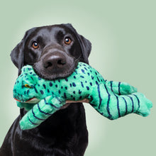 Load image into Gallery viewer, FLUFF &amp; TUFF OLIVER FROG 12&quot;
