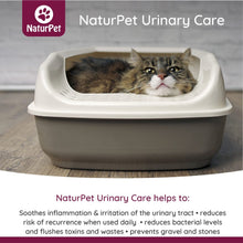 Load image into Gallery viewer, NATURPET URINARY CARE 100ML
