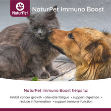 Load image into Gallery viewer, NATURPET IMMUNO BOOST 100ML
