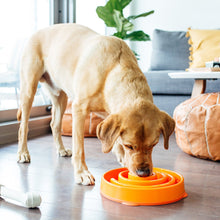 Load image into Gallery viewer, OUTWARD HOUND FUN FEEDER CORAL ORANGE
