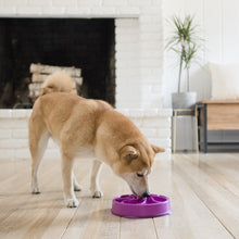 Load image into Gallery viewer, OUTWARD HOUND FUN FEEDER FLOWER PURPLE MINI
