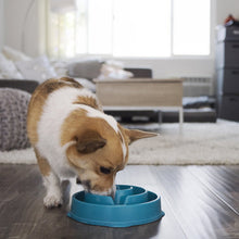 Load image into Gallery viewer, OUTWARD HOUND FUN FEEDER DROP TEAL MINI
