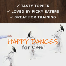 Load image into Gallery viewer, NATURES VARIETY FREEZE DRIED RAW BOOST MIXER BEEF DOG 170G
