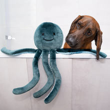 Load image into Gallery viewer, FLUFF &amp; TUFF STEVIE OCTOPUS 21&quot;
