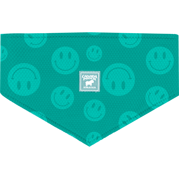 CANADA POOCH CHILL SEEKER BANDANA SMILE LARGE