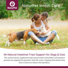 Load image into Gallery viewer, NATURPET INTESTI CARE POWDER 165G
