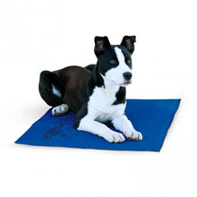 Load image into Gallery viewer, K&amp;H COOLIN PET PAD BLUE 11X15 SM
