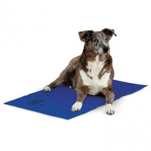 Load image into Gallery viewer, K&amp;H COOLIN PET PAD BLUE 15X20 MED
