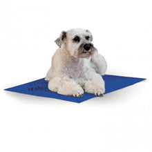 Load image into Gallery viewer, K&amp;H COOLIN PET PAD BLUE 11X15 SM
