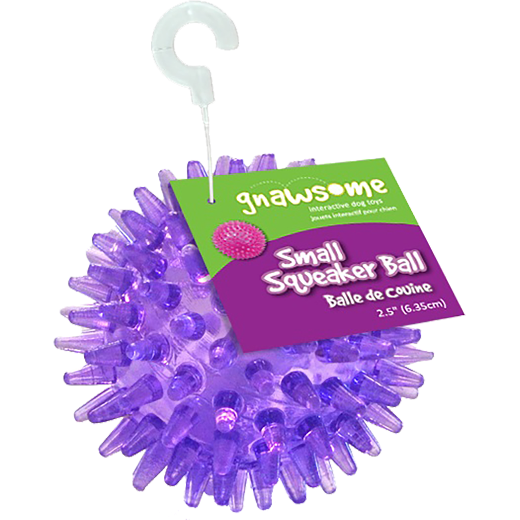 GNAWSOME SQUEAKER BALL 2.5