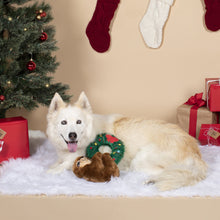 Load image into Gallery viewer, FRINGE SLOTH ON WREATH
