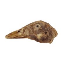 Load image into Gallery viewer, VITAL ESSENTIALS RAW BAR FREEZE-DRIED DUCK HEAD

