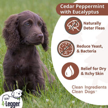 Load image into Gallery viewer, 4LEGGER CEDAR/PEPPERMINT SHAMPOO 16OZ
