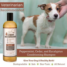 Load image into Gallery viewer, 4LEGGER CEDAR/PEPPERMINT SHAMPOO 16OZ
